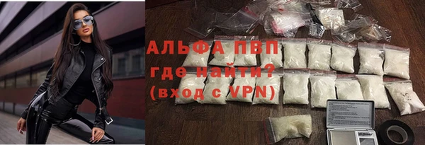 стаф Арсеньев