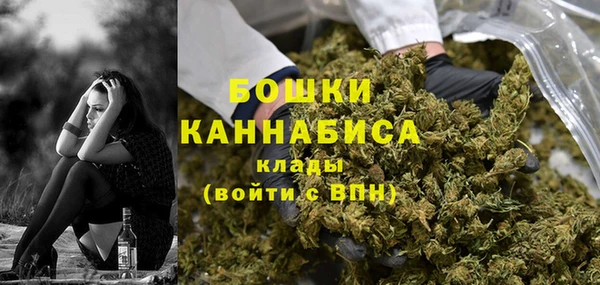 стаф Арсеньев