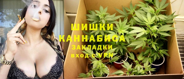 стаф Арсеньев