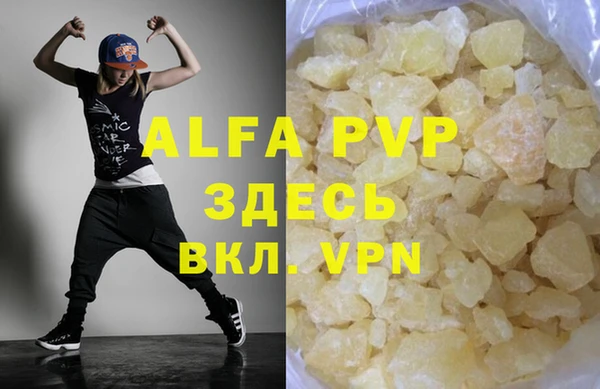 стаф Арсеньев