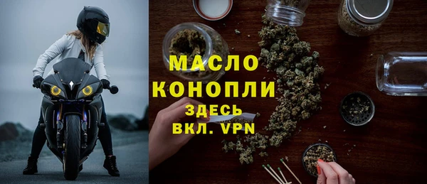 стаф Арсеньев
