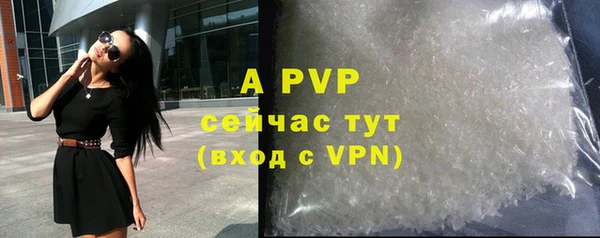 стаф Арсеньев