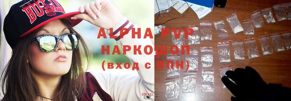 стаф Арсеньев